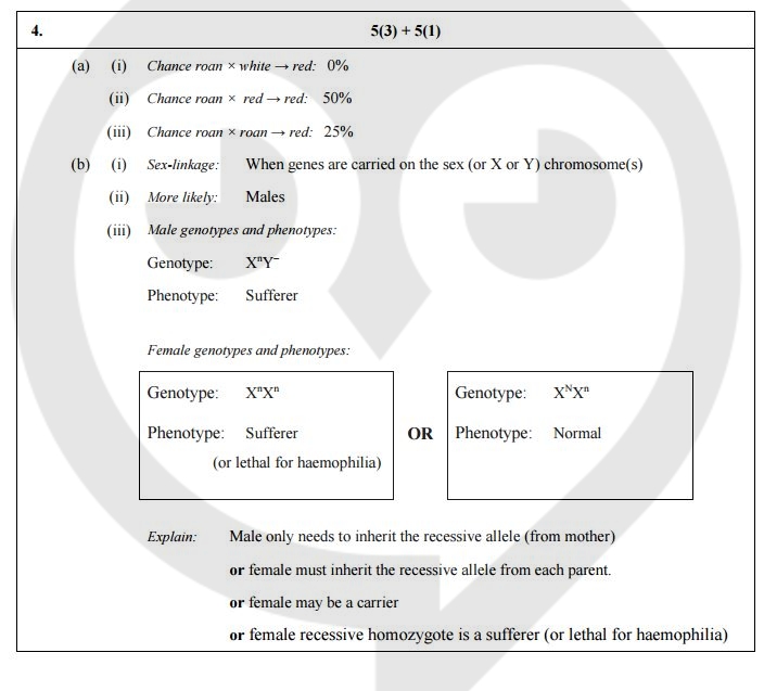 CFE-Financial-Transactions-and-Fraud-Schemes対策学習