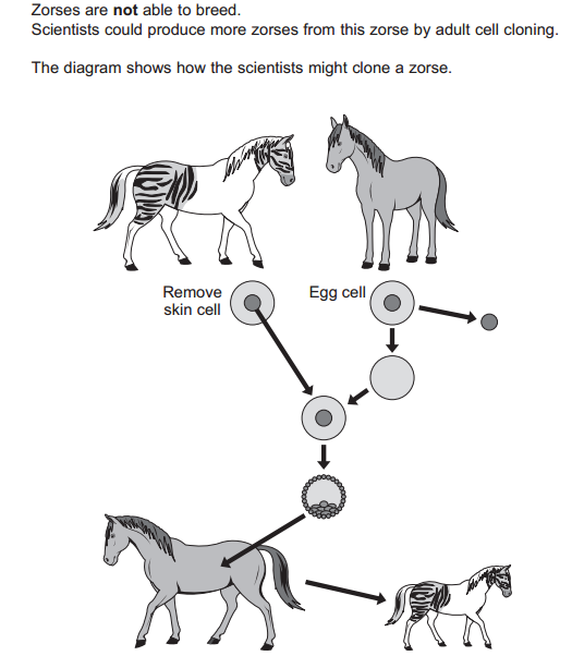 Unit 01 - Biology Genetics and Evolution - MCQs - Biology - GCSE - iRevise
